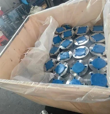 Brida de placa BS4504 CODE101 para soldar con autógena la entrega DN50 PN16